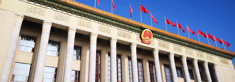 世界动荡之际，中国引领未来